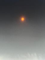1000016799