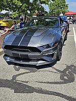 100th Anniversary Shelby