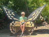 IMG 20240613 175905