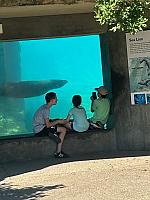 IMG 20240613 180006