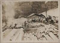 Lumber at the Wright Saw Mill, Holliday's Cove 1913