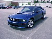 MustangAtKohls01