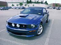 MustangAtKohls02