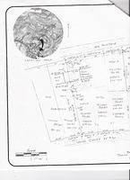 175PalmSurvey_07222009_B