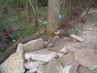 2009_0426Image0007.JPG