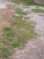 2009_0722Image0062.JPG