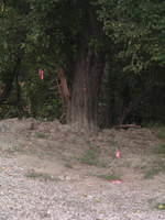 2009_0722Image0063.JPG