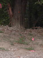 2009_0722Image0064.JPG