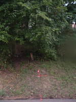2009_0722Image0066.JPG
