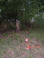 2009_0722Image0067.JPG